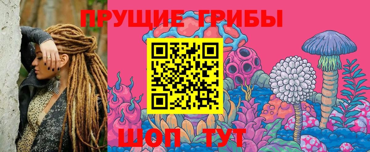 Псилоцибиновые грибы Magic Shrooms Гудермес