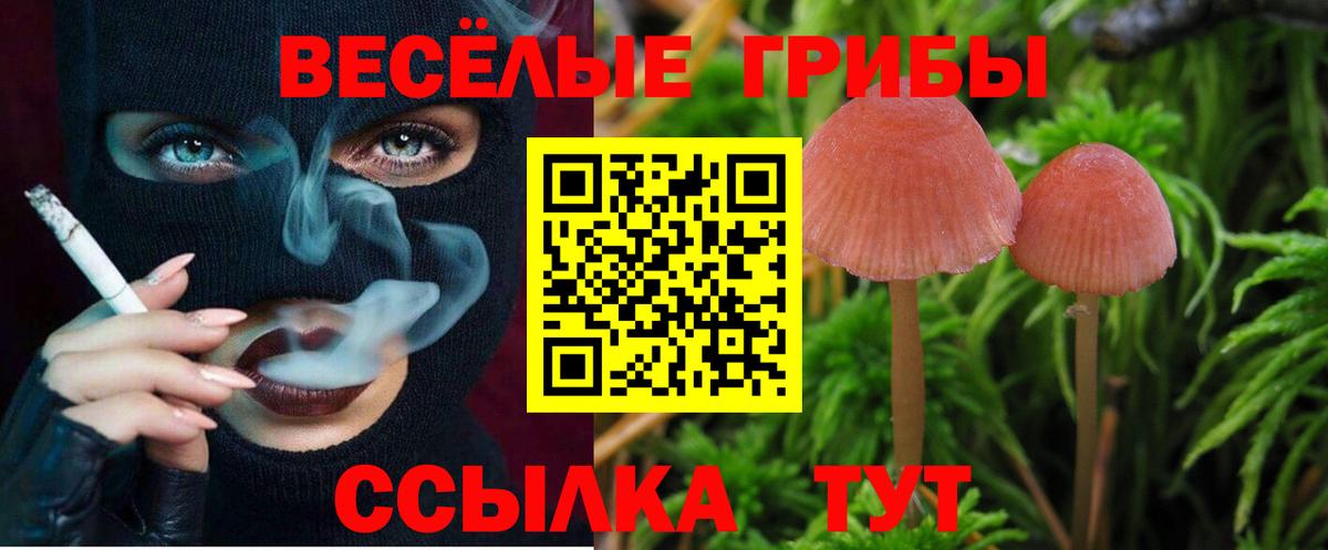где купить наркоту  Галлюциногенные грибы мухоморы  Вход с VPN  Гудермес  Псилоцибиновые грибы Magic Shrooms 
